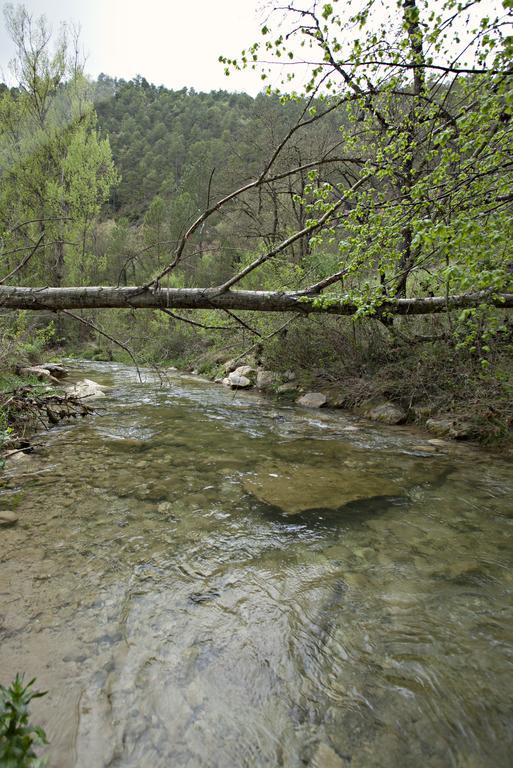 Masia Ca L'Anima Hotell La Baronia de Rialb Rom bilde
