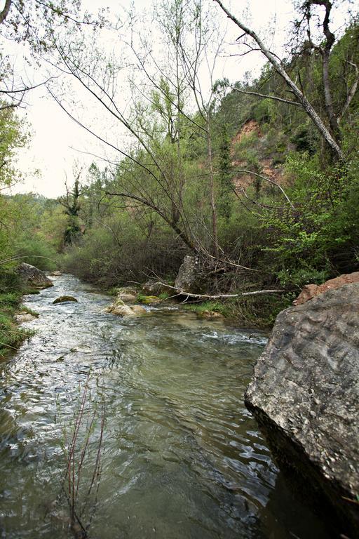 Masia Ca L'Anima Hotell La Baronia de Rialb Rom bilde