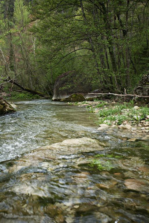 Masia Ca L'Anima Hotell La Baronia de Rialb Rom bilde